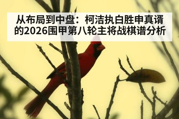 从布局到中盘：柯洁执白胜申真谞的2026围甲第八轮主将战棋谱分析