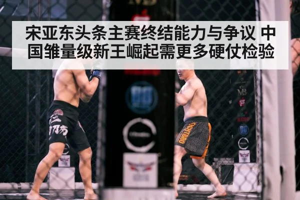 MMA fighter octagon cage match
