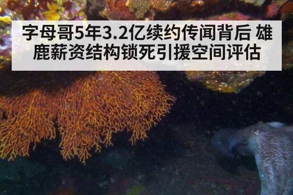 字母哥5年3.2亿续约传闻背后 雄鹿薪资结构锁死引援空间评估